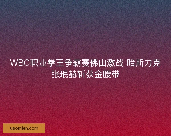 WBC职业拳王争霸赛佛山激战 哈斯力克张珉赫斩获金腰带